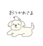 ふわふわ♡マルチーズ スタンプ（個別スタンプ：7）