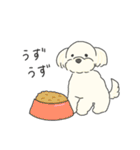 ふわふわ♡マルチーズ スタンプ（個別スタンプ：8）
