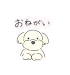 ふわふわ♡マルチーズ スタンプ（個別スタンプ：9）