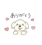 ふわふわ♡マルチーズ スタンプ（個別スタンプ：10）