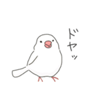 ふわふわ♡マルチーズ スタンプ（個別スタンプ：11）
