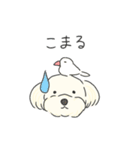ふわふわ♡マルチーズ スタンプ（個別スタンプ：15）