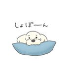 ふわふわ♡マルチーズ スタンプ（個別スタンプ：16）