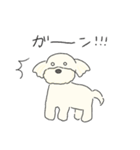 ふわふわ♡マルチーズ スタンプ（個別スタンプ：19）