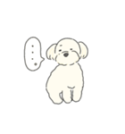 ふわふわ♡マルチーズ スタンプ（個別スタンプ：20）