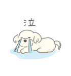 ふわふわ♡マルチーズ スタンプ（個別スタンプ：22）