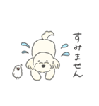 ふわふわ♡マルチーズ スタンプ（個別スタンプ：23）