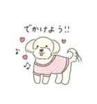 ふわふわ♡マルチーズ スタンプ（個別スタンプ：25）