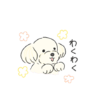 ふわふわ♡マルチーズ スタンプ（個別スタンプ：26）