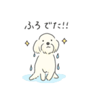 ふわふわ♡マルチーズ スタンプ（個別スタンプ：29）