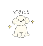 ふわふわ♡マルチーズ スタンプ（個別スタンプ：31）