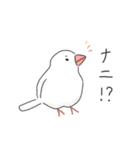 ふわふわ♡マルチーズ スタンプ（個別スタンプ：34）