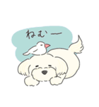 ふわふわ♡マルチーズ スタンプ（個別スタンプ：38）