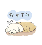 ふわふわ♡マルチーズ スタンプ（個別スタンプ：39）