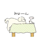 ふわふわ♡マルチーズ スタンプ（個別スタンプ：40）