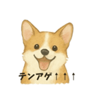 平成アニマルズ（水彩（個別スタンプ：5）