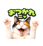飛び出す★リアル猫2（個別スタンプ：2）