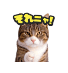 飛び出す★リアル猫2（個別スタンプ：9）