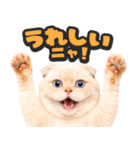 飛び出す★リアル猫2（個別スタンプ：13）
