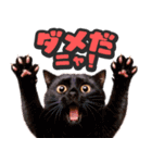 飛び出す★リアル猫2（個別スタンプ：14）