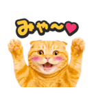 飛び出す★リアル猫2（個別スタンプ：17）