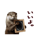 動く！夏のカワウソ（個別スタンプ：1）