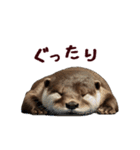 動く！夏のカワウソ（個別スタンプ：3）