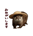 動く！夏のカワウソ（個別スタンプ：9）