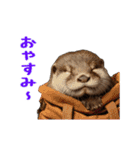 動く！夏のカワウソ（個別スタンプ：10）