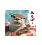 動く！夏のカワウソ（個別スタンプ：12）