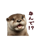 動く！夏のカワウソ（個別スタンプ：14）