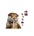 動く！夏のカワウソ（個別スタンプ：18）