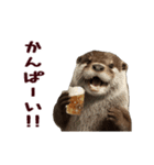 動く！夏のカワウソ（個別スタンプ：19）