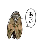 しゃべるセミ（個別スタンプ：1）