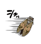 しゃべるセミ（個別スタンプ：3）