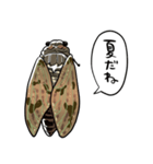 しゃべるセミ（個別スタンプ：7）