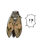 しゃべるセミ（個別スタンプ：8）
