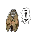 しゃべるセミ（個別スタンプ：9）