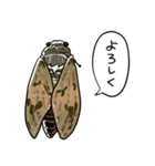 しゃべるセミ（個別スタンプ：12）
