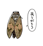 しゃべるセミ（個別スタンプ：15）