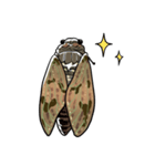しゃべるセミ（個別スタンプ：16）