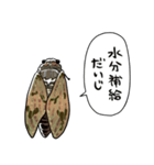 しゃべるセミ（個別スタンプ：31）