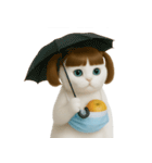 美しいアップルキャット (NT)（個別スタンプ：10）