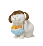 美しいアップルキャット (NT)（個別スタンプ：19）