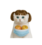 美しいアップルキャット (NT)（個別スタンプ：35）