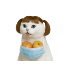 美しいアップルキャット (NT)（個別スタンプ：37）