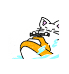 動くしろねこ 福ちゃん 夏バージョン（個別スタンプ：4）