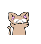 動くしろねこ 福ちゃん 夏バージョン（個別スタンプ：10）