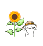 動くしろねこ 福ちゃん 夏バージョン（個別スタンプ：24）