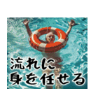 スイミングばばぁ！(毎日便利に使える返信)（個別スタンプ：39）